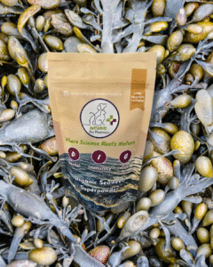 D.I.G Organic Seaweed Superpowder