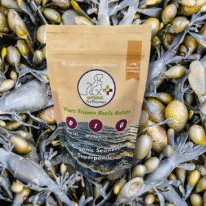 D.I.G Organic Seaweed Superpowder