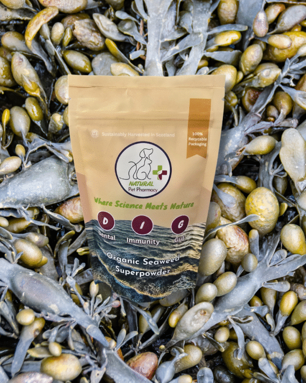 D.I.G Organic Seaweed Superpowder