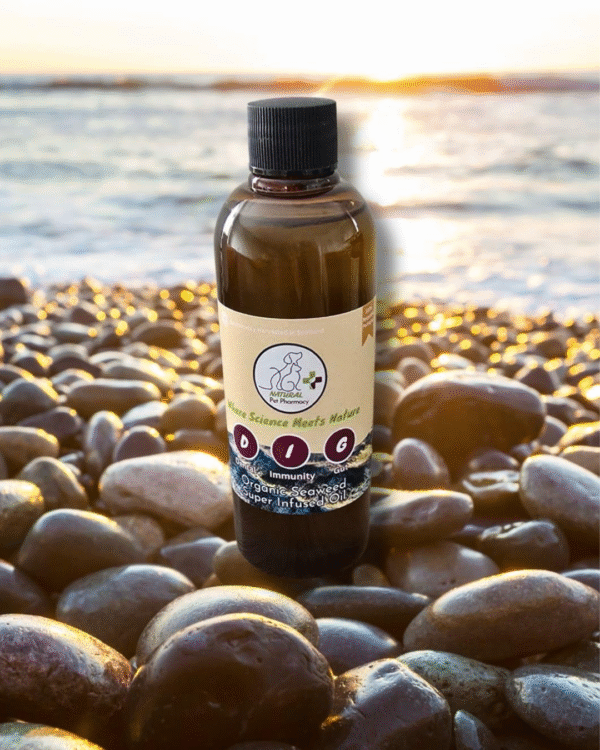 D.I.G Organic Super Infused Seaweed Oil