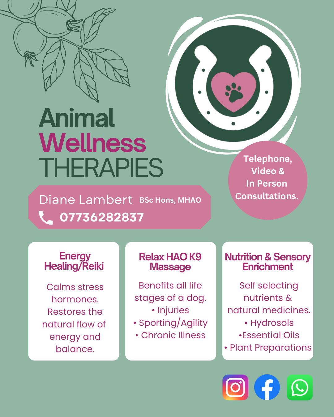 Copy of Copy of Flyer Animal Wellness Therapies (Instagram Post (45)) Copy of Copy of Flyer Animal Wellness Therapies (Instagram Post (45))