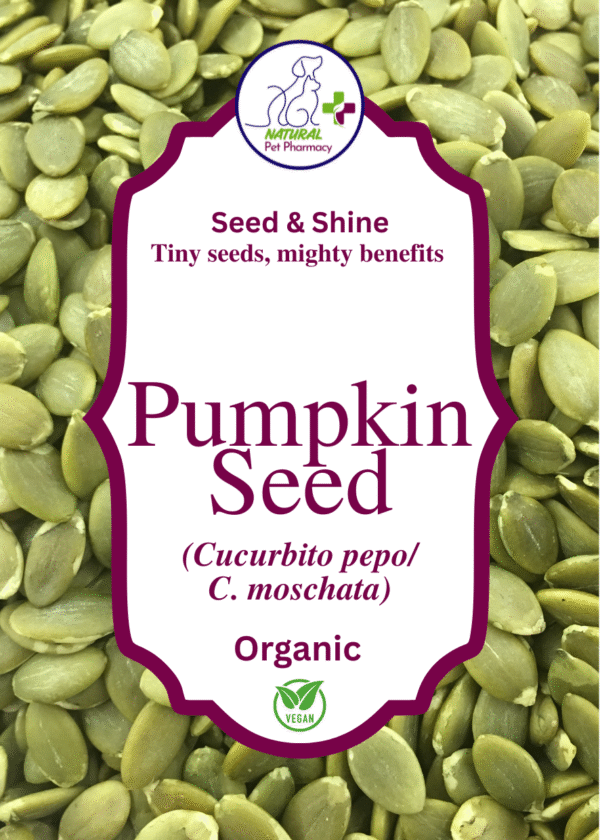 Pumpkin Seed