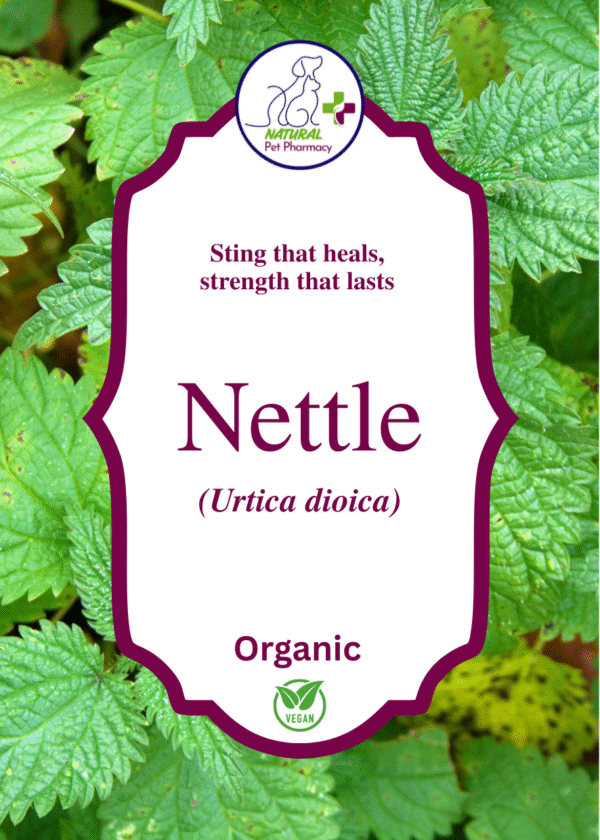 Nettle