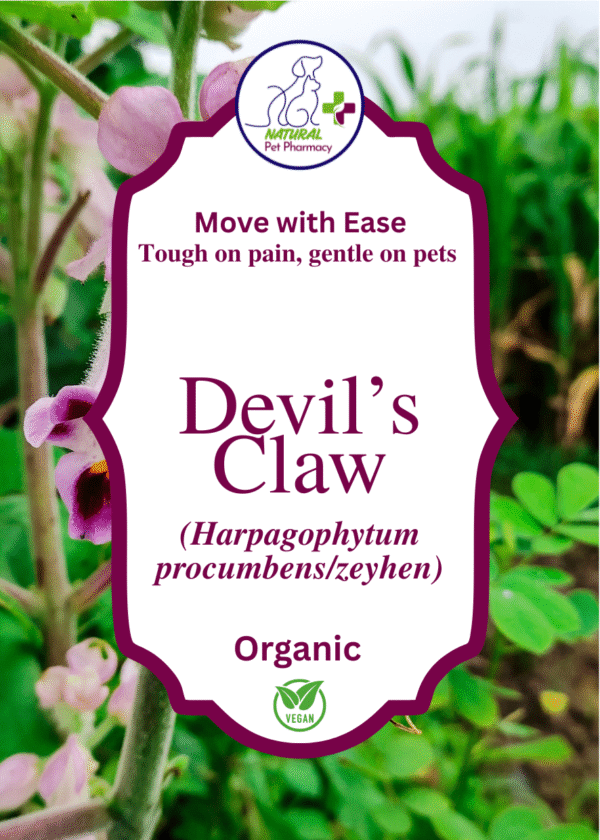 Devil's Claw
