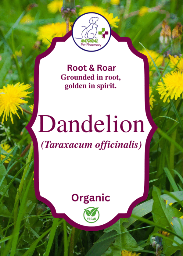 Dandelion Root