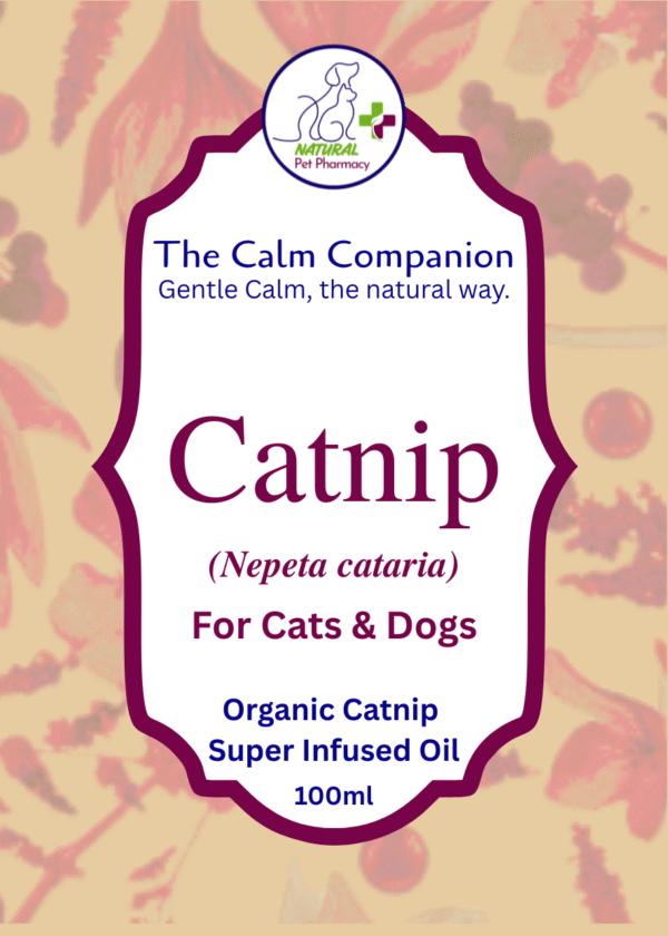 The Calm Companion