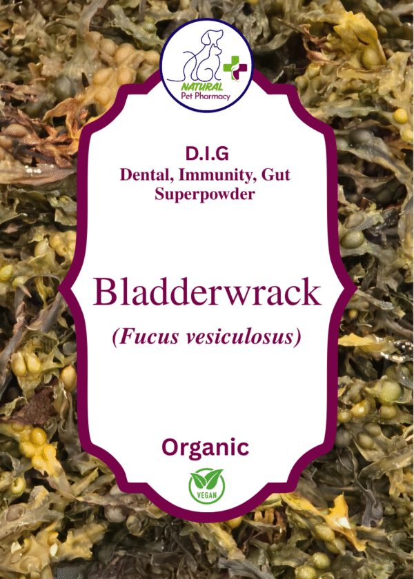 Bladderwrack