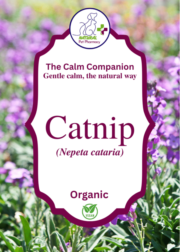 Catnip