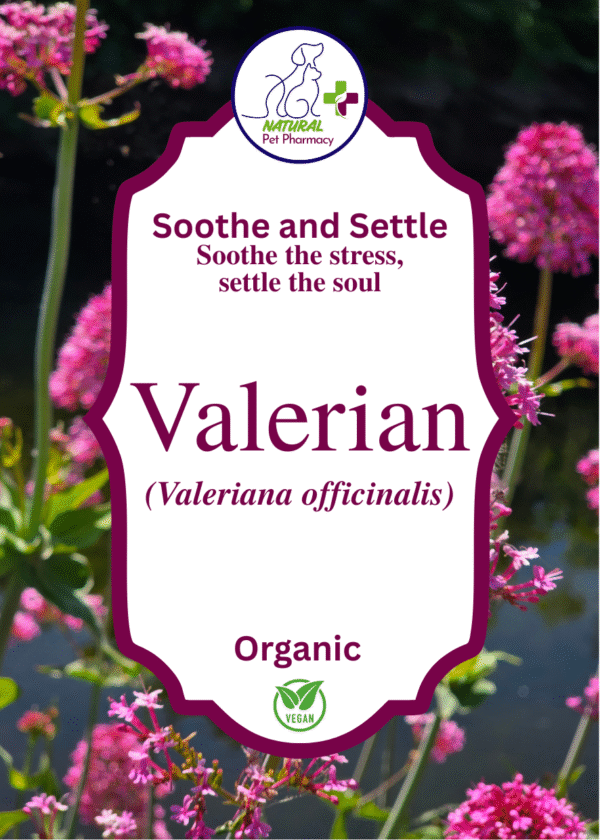 Valerian Root