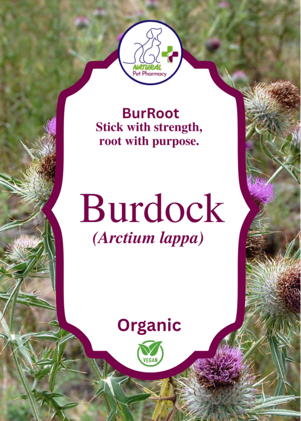 Burdock Root