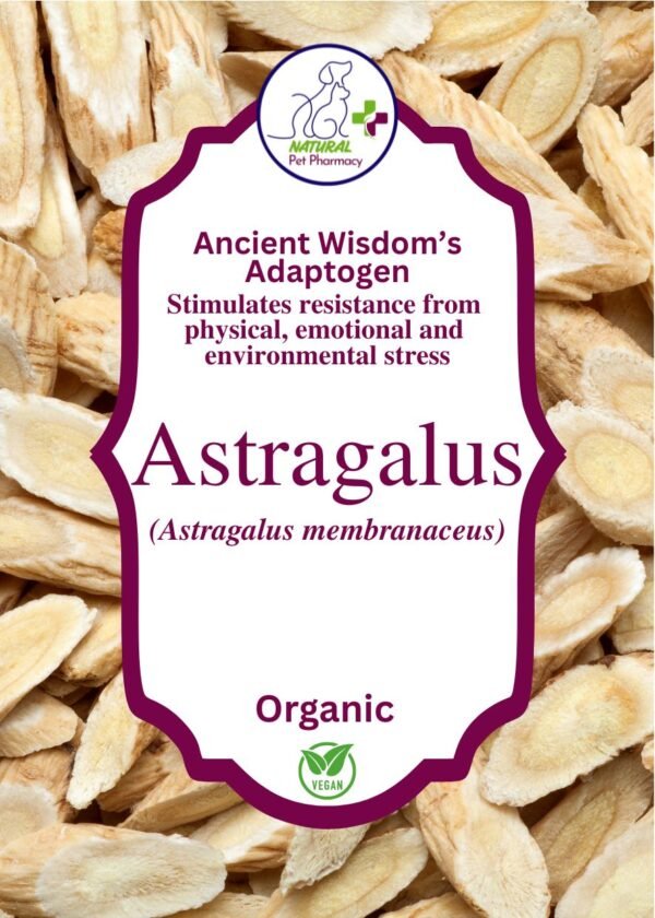 Astragalus