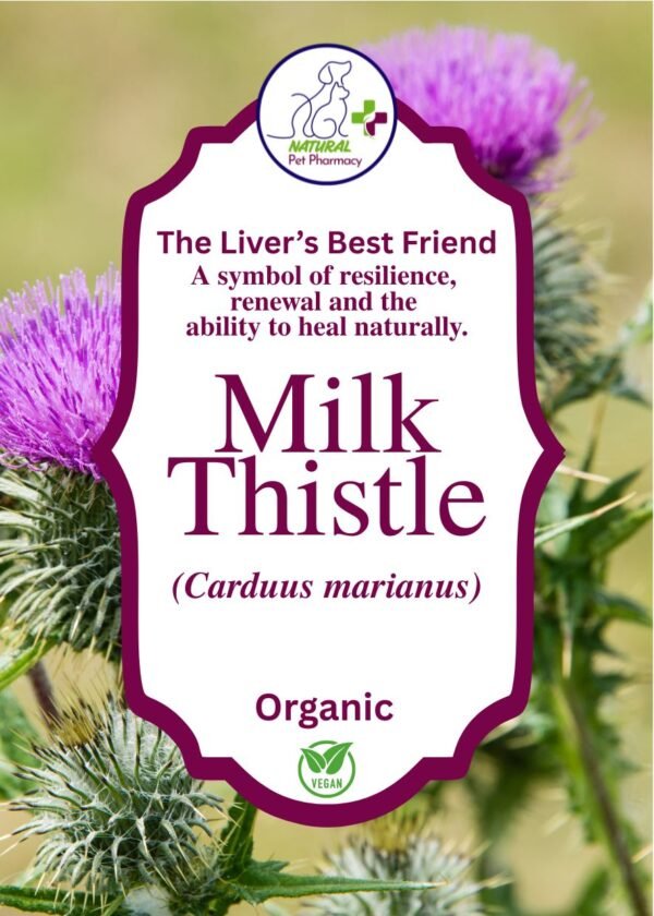 Milk Thistle