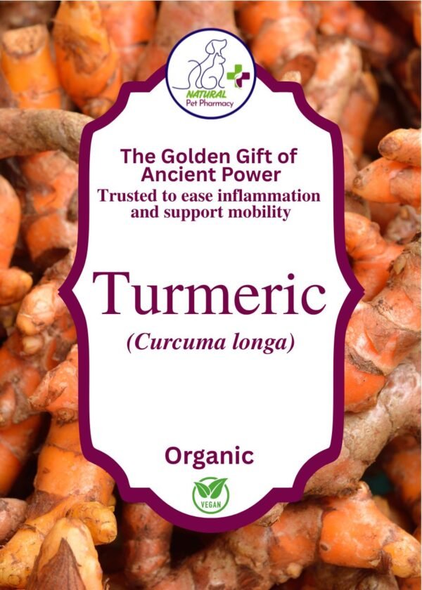Turmeric